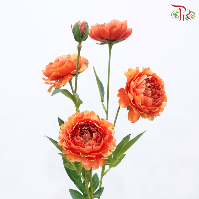 87cm Ranunculus Spray - Orange (2 Stems)
