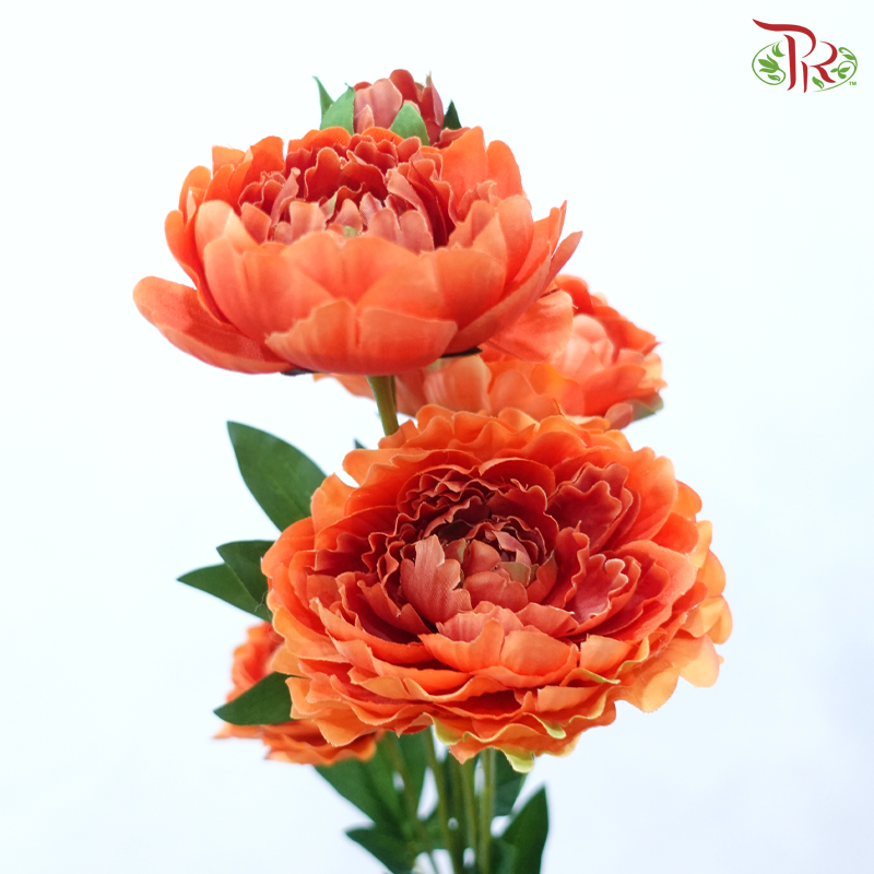 87cm Ranunculus Spray - Orange (2 Stems)