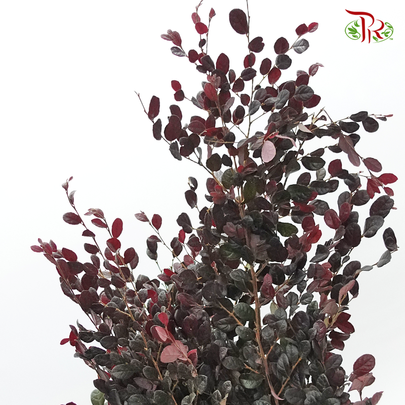 Red Technology Wood - (Per Bunch)-China-prflorist.com.my