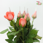 【Limited Time Deals】Roses (10 Stems) With Free Ecuador's  Baby's Breath / Eucalyptus