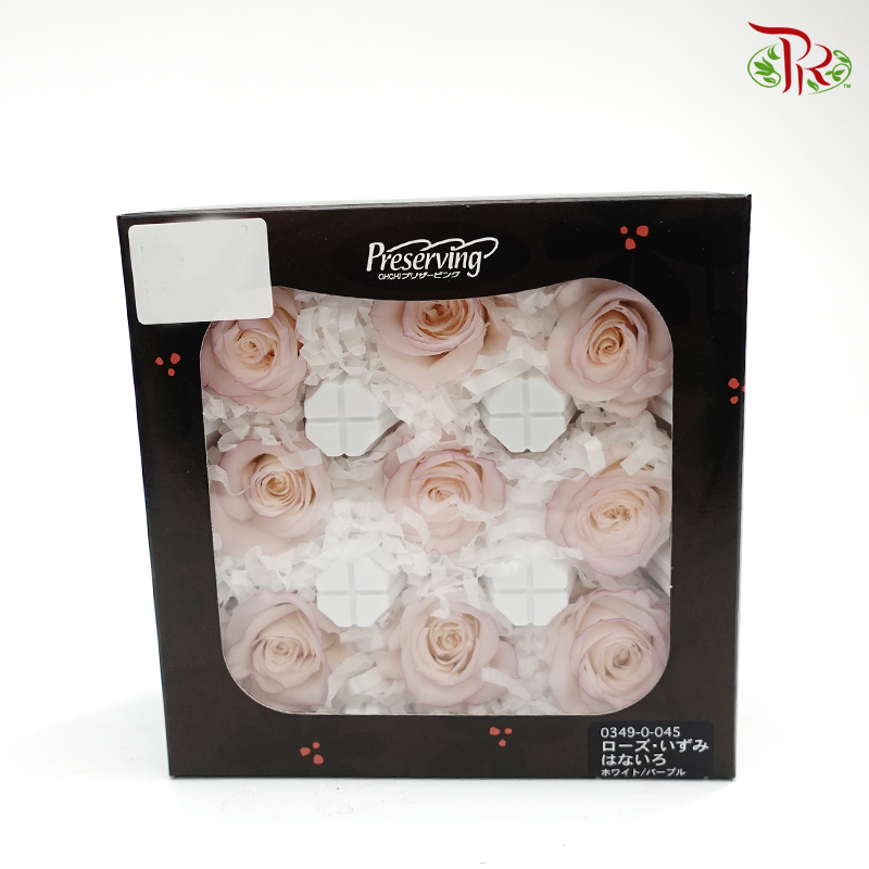 Rose Izumi Hanairo Preservative - Light Purple ( 0349-0-045 )-Purple-Japan-prflorist.com.my