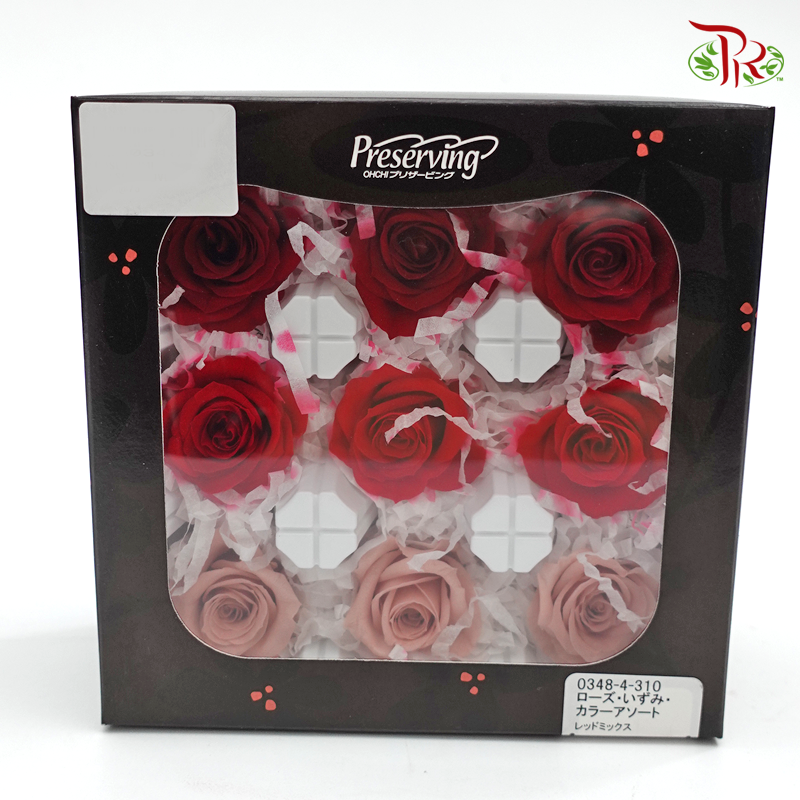 Rose Izumi Preservative - Mix Red ( 0348-4-310 )-Red-Japan-prflorist.com.my