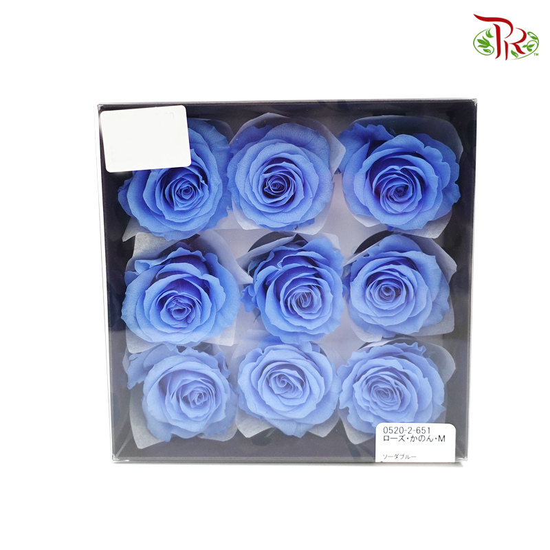 Rose Kanon M Preservative - Light Blue ( 0520-2-651 )-Blue-Japan-prflorist.com.my