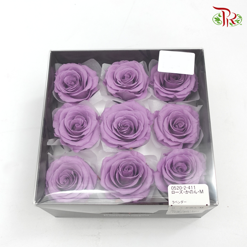 Rose Kanon M Preservative - Purple ( 0520-2-411 )-Purple-Japan-prflorist.com.my