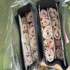 Rose - Manta Pale Lavender (10 Stems)-Manta-China-prflorist.com.my