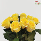 Rose Netting - Yellow (20 Stems)-Yellow-China-prflorist.com.my