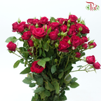 Rose Spray - Blood Red Bubble (Per Bunch)-Purple-China-prflorist.com.my