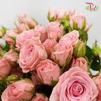 Rose Spray - Elegant Lover / Sweetheart (10 Stems)-Pink-China-prflorist.com.my