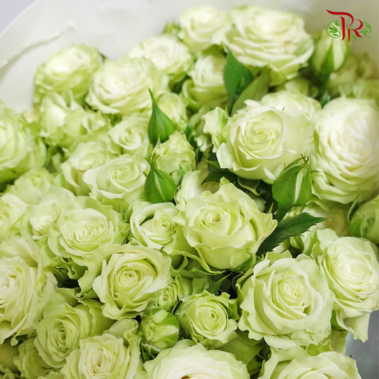 Rose Spray - Green (10 Stems)-Green-China-prflorist.com.my