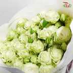 Rose Spray - Green (10 Stems)-Green-China-prflorist.com.my