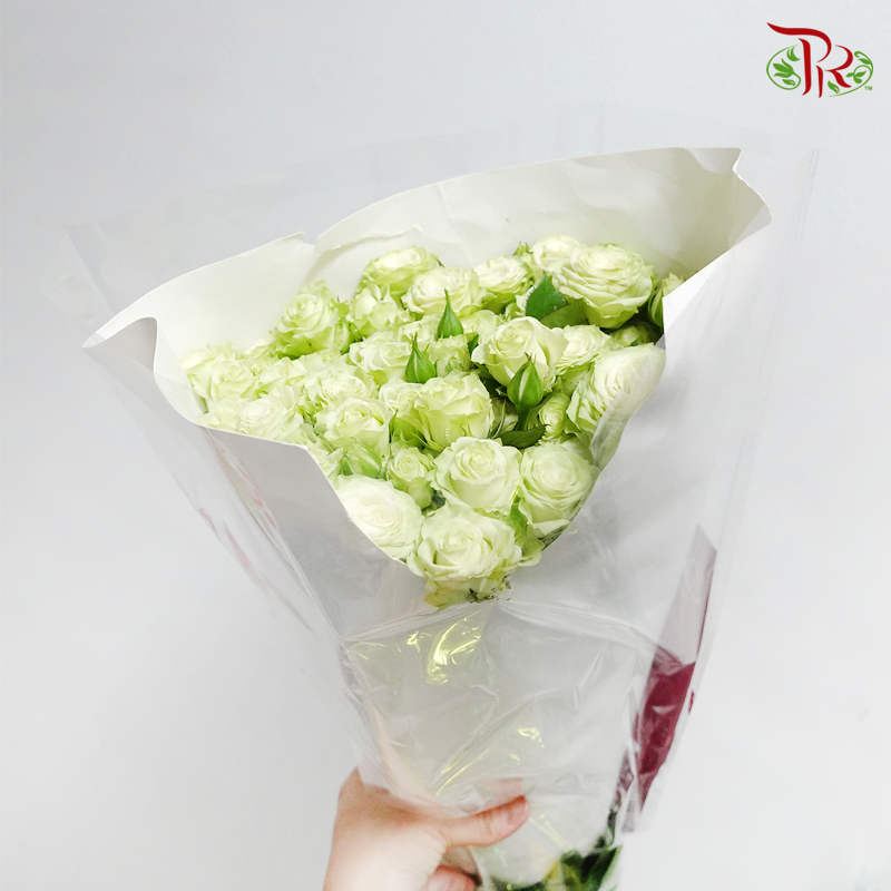 Rose Spray - Green (10 Stems)-Green-China-prflorist.com.my