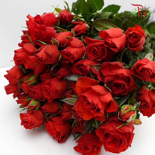 Rose Spray - Neon Bubble (10 Stems)-Red-China-prflorist.com.my