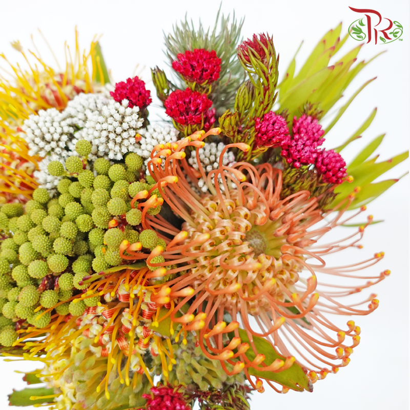 Safari Leucospermum Bouquet - Orange With Yellow (Per Bunch) **Random Choose Cone/Fillers-Orange With Yellow-Africa-prflorist.com.my