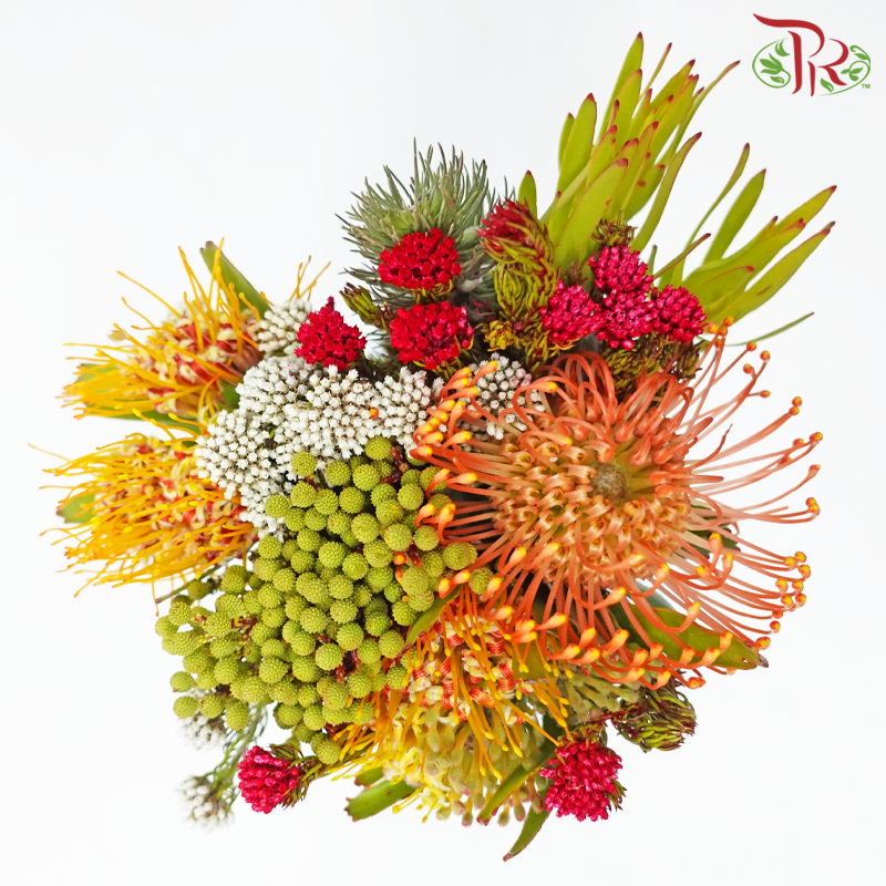 Safari Leucospermum Bouquet - Orange With Yellow (Per Bunch) **Random Choose Cone/Fillers-Orange With Yellow-Africa-prflorist.com.my