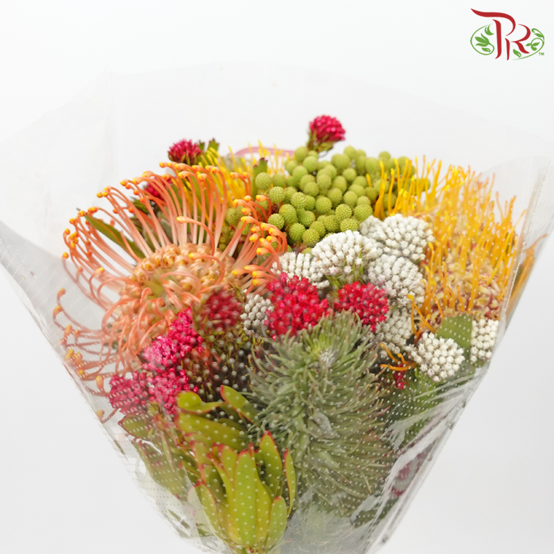 Safari Leucospermum Bouquet - Orange With Yellow (Per Bunch) **Random Choose Cone/Fillers-Orange With Yellow-Africa-prflorist.com.my