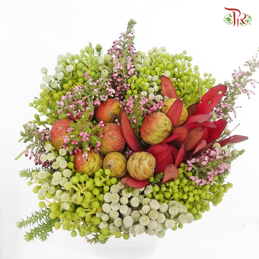 Safari Mix (cone/cape) - #10 (Per Bunch) **Random Choose Cone/Fillers-Africa-prflorist.com.my