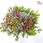 Safari Mix (Cone/Cape) - #6 (Per Bunch) **Random Choose Cone/Fillers-Pink-Africa-prflorist.com.my