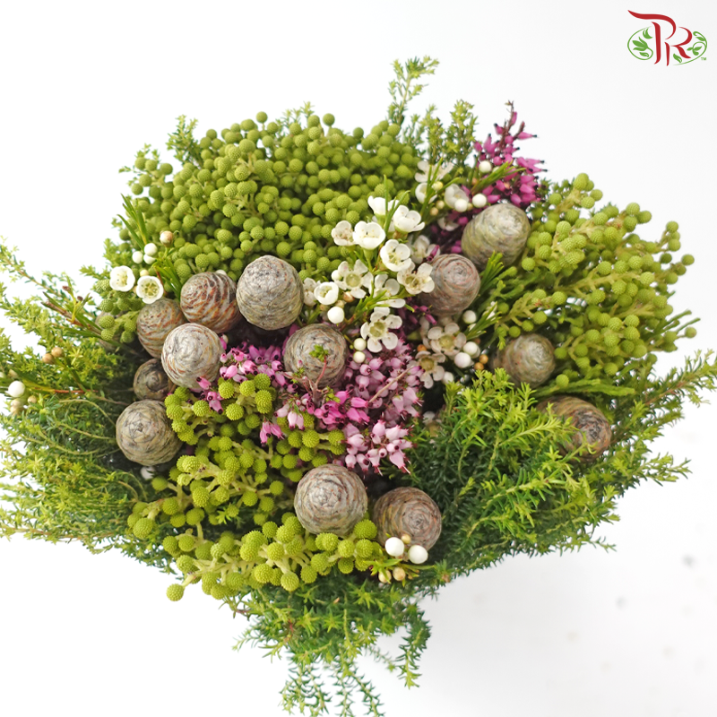Safari Cape Cone Mix Bouquet - #35 (Per Bunch) (**Random Choose Cone / Fillers)