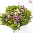 Safari Cape Cone Mix Bouquet - #35 (Per Bunch) (**Random Choose Cone / Fillers)