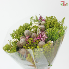 Safari Cape Cone Mix Bouquet - #35 (Per Bunch) (**Random Choose Cone / Fillers)