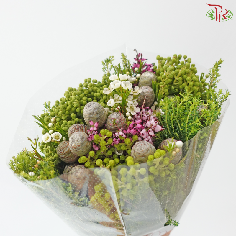 Safari Cape Cone Mix Bouquet - #35 (Per Bunch) (**Random Choose Cone / Fillers)