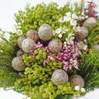 Safari Cape Cone Mix Bouquet - #35 (Per Bunch) (**Random Choose Cone / Fillers)