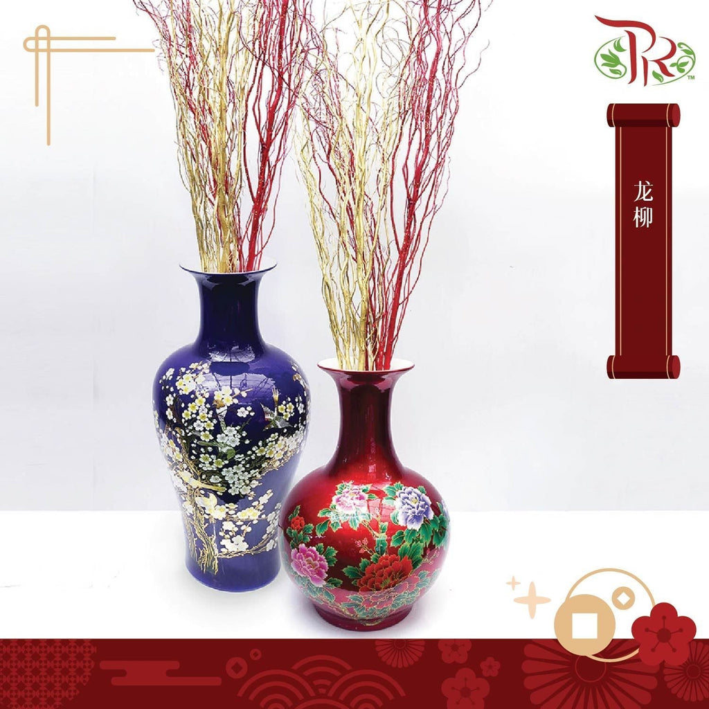 Salix 龙柳 (3 Stems)