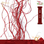 Salix 龙柳 (3 Stems)