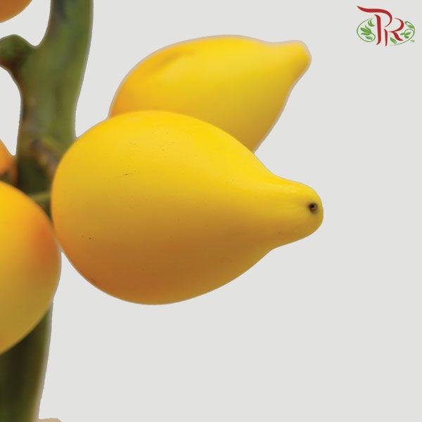 Solanum Mammosum - (Per Stem)-Yellow-China-prflorist.com.my