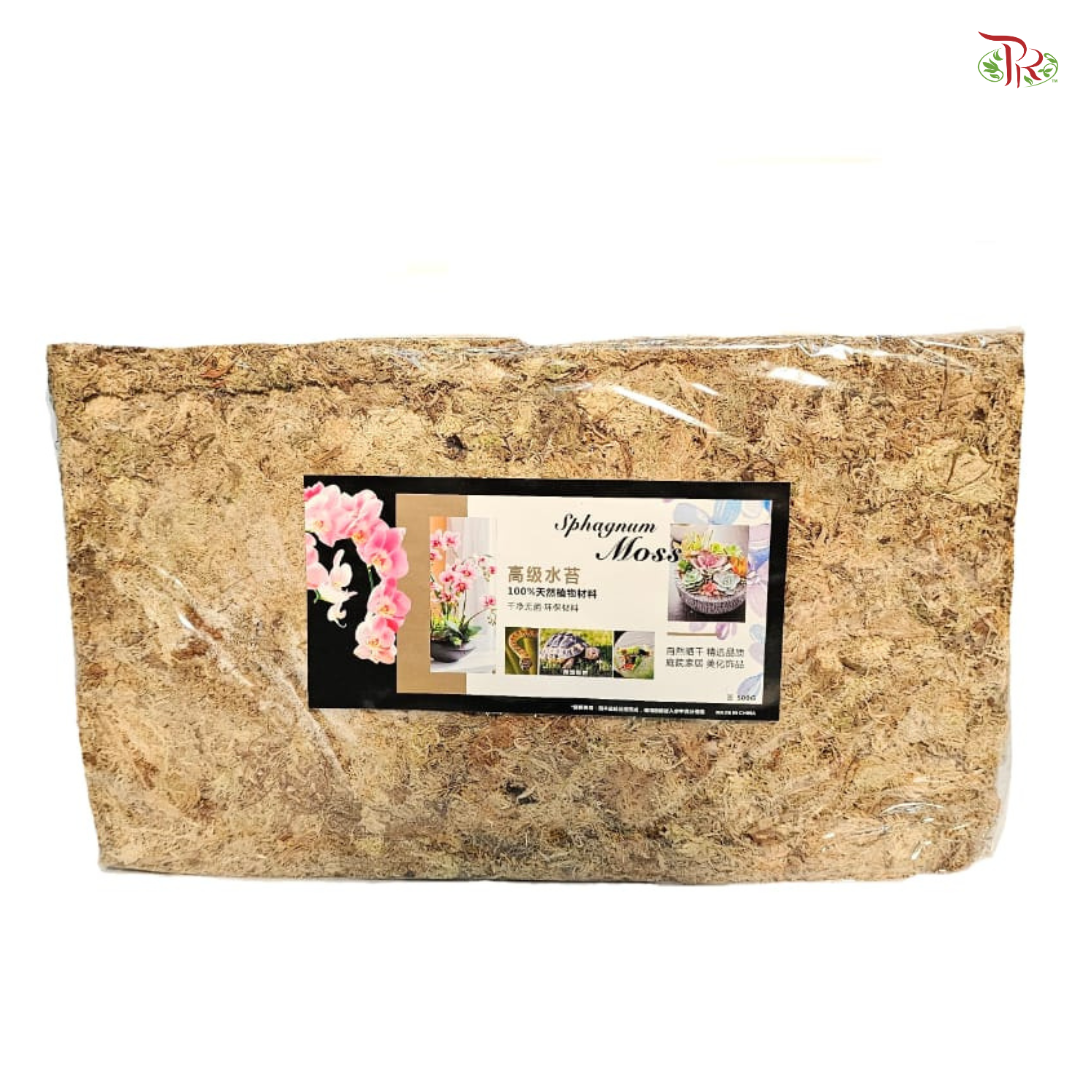 Sphagnum Moss 水苔 500G-Pudu Ria Florist-prflorist.com.my