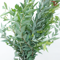 Spiraea Leaf - (Per Bunch)-China-prflorist.com.my