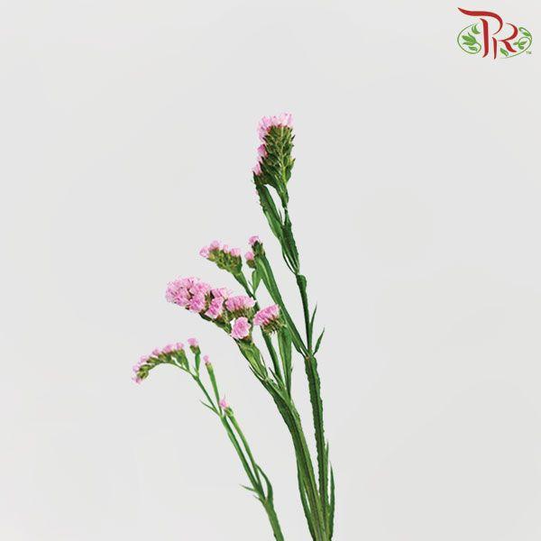 Statice - Light Pink( 500g-550g)-Pink-China-prflorist.com.my