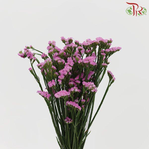 Statice - Light Pink( 500g-550g)-Pink-China-prflorist.com.my