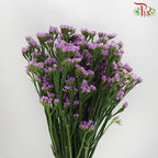 Statice - Light Purple ( 500g-550g)-Purple-China-prflorist.com.my
