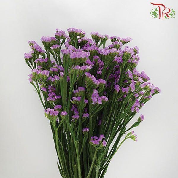 Statice - Light Purple ( 500g-550g)-Purple-China-prflorist.com.my