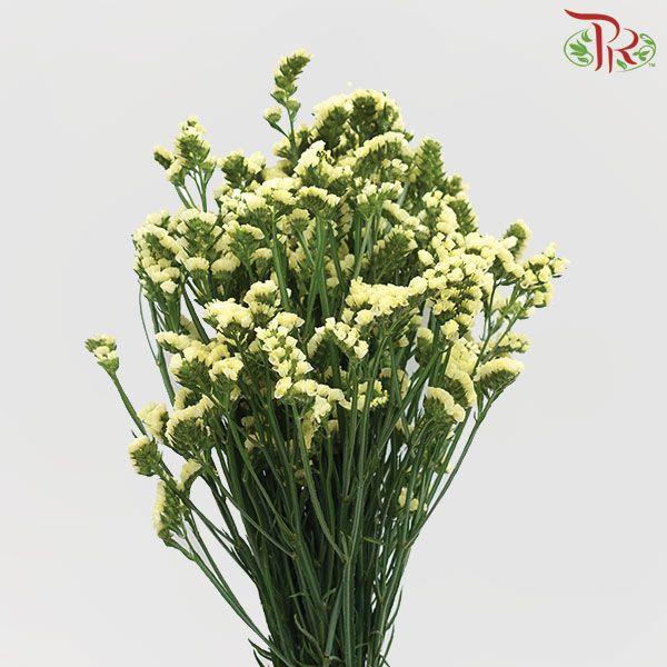 Statice - Light Yellow (Per Bunch)-Yellow-Malaysia-prflorist.com.my