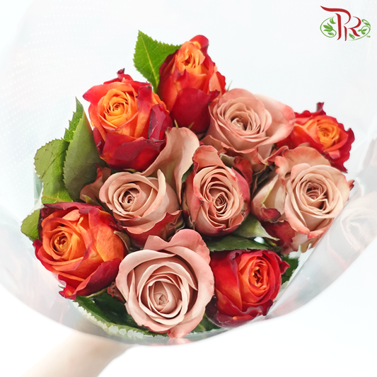 The Courage of Love - (Mixed - Kenya Cappuccino & Fire) (10 Stems Per Bundle)-Kenya-prflorist.com.my