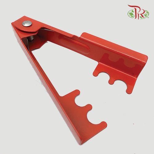 Thorn Remover- Red-Pudu Ria Florist-prflorist.com.my