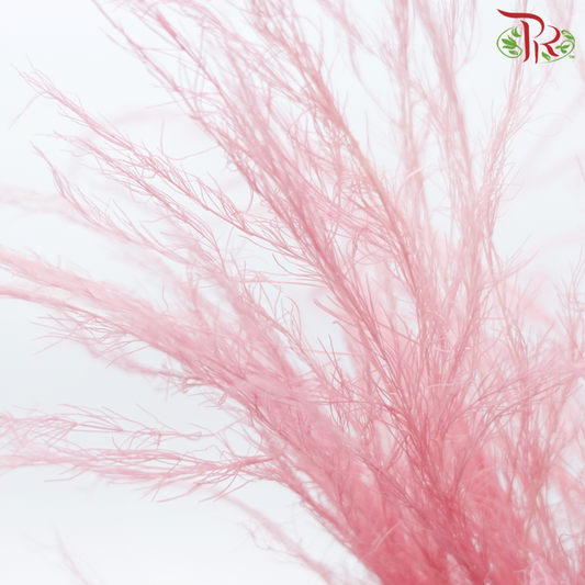 Tiki Fern Preservative - Pink (Per Bunch)-Pink-China-prflorist.com.my