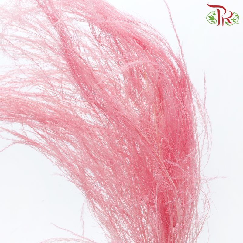 Tiki Fern Preservative - Pink (Per Bunch)-Pink-China-prflorist.com.my