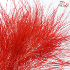 Tiki Fern Preservative - Red (Per Bunch)-Red-China-prflorist.com.my