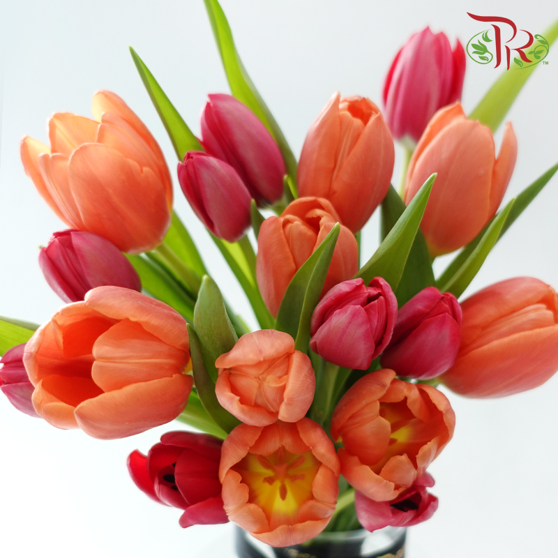 Tulip Vase Arrangement (With Color Options)-Pudu Ria Florist-prflorist.com.my