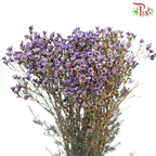 Wax Flower - Dark Purple (Per Bunch)-Purple-China-prflorist.com.my