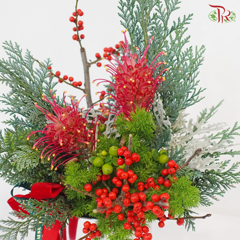 【XMAS 2025】Mistletoe Magic