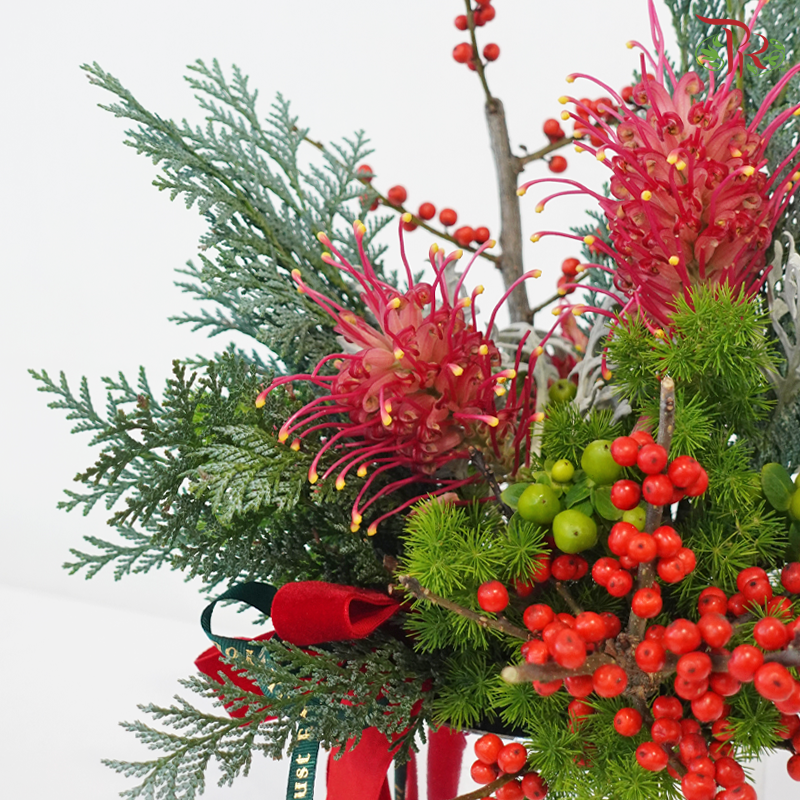 【XMAS 2025】Mistletoe Magic