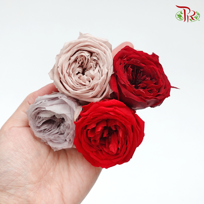 Rose Temari Presevative - Mix Red, Brown ( 0246-7-870 ) - Pudu Ria Florist