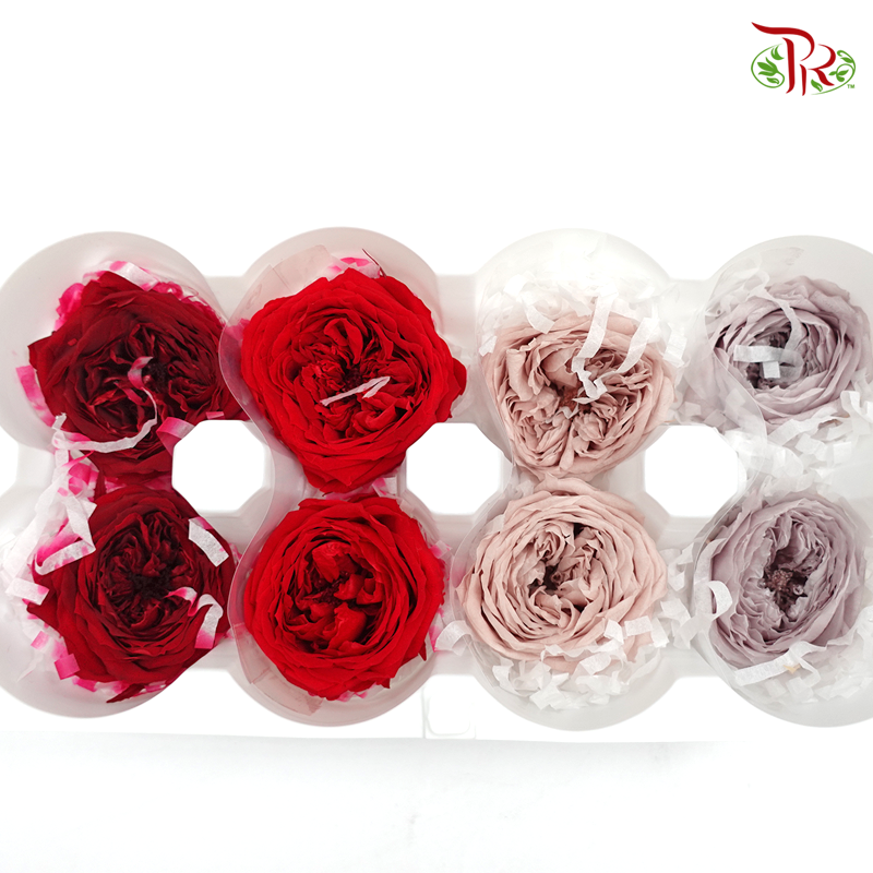 Rose Temari Presevative - Mix Red, Brown ( 0246-7-870 ) - Pudu Ria Florist