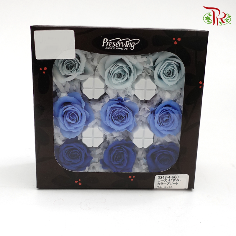 Rose Izumi Preservative - Mix Blue ( 0348-4-660 ) - Pudu Ria Florist