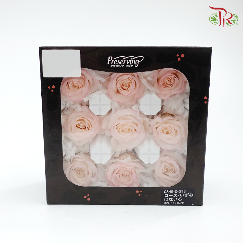 Rose Izumi Hanairo Preservative - Light pink ( 0349-0-015 ) - Pudu Ria Florist