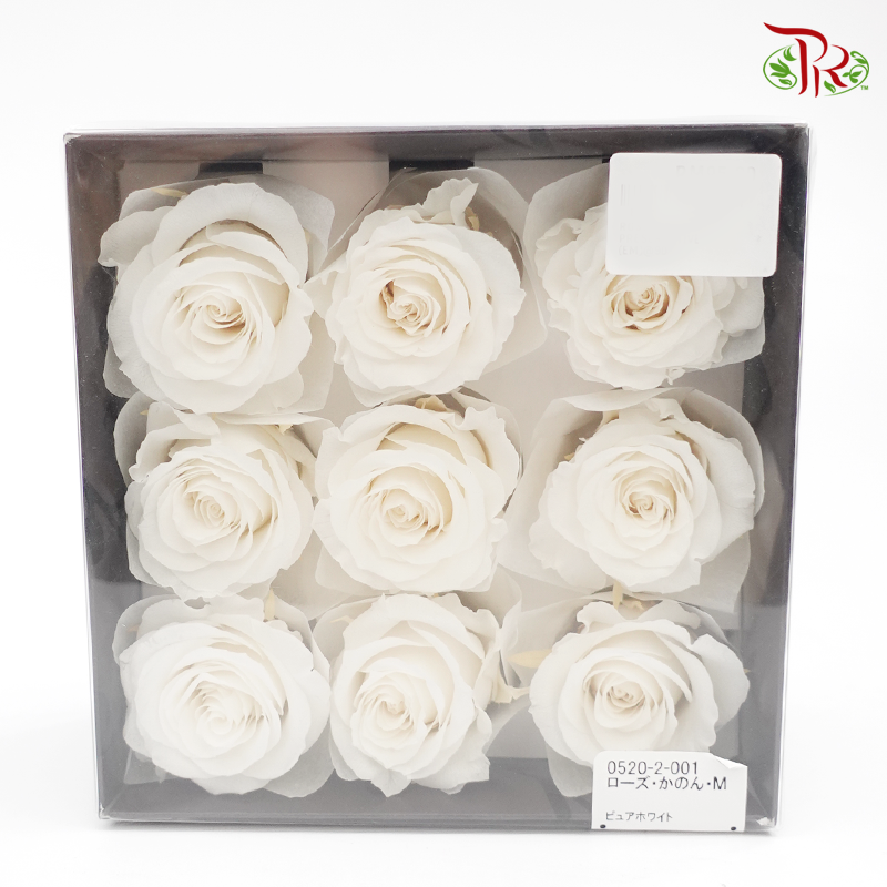 Rose Kanon M Preservative - White ( 0520-2-001 ) - Pudu Ria Florist
